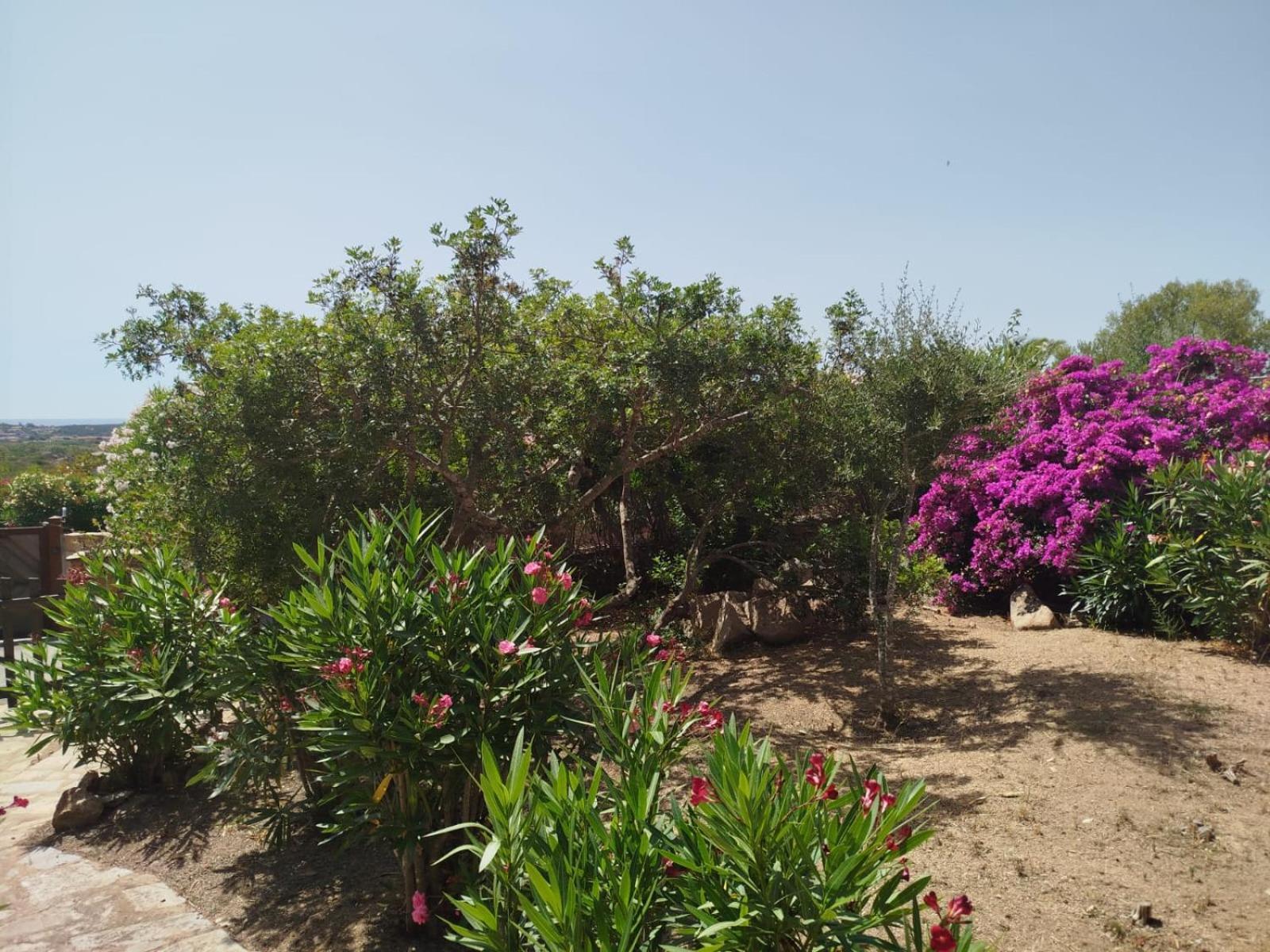 Villa Vista Mare Cala Ginepro Punta Molara المظهر الخارجي الصورة